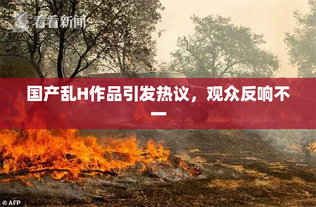 国产乱H作品引发热议，观众反响不一