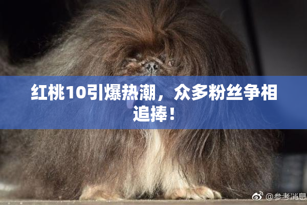 红桃10引爆热潮，众多粉丝争相追捧！
