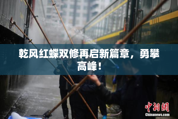 乾风红蝶双修再启新篇章，勇攀高峰！