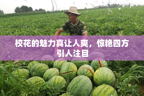 校花的魅力真让人爽，惊艳四方引人注目