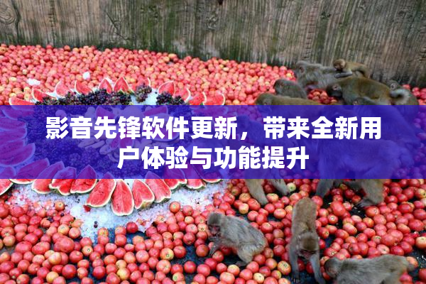 影音先锋软件更新，带来全新用户体验与功能提升