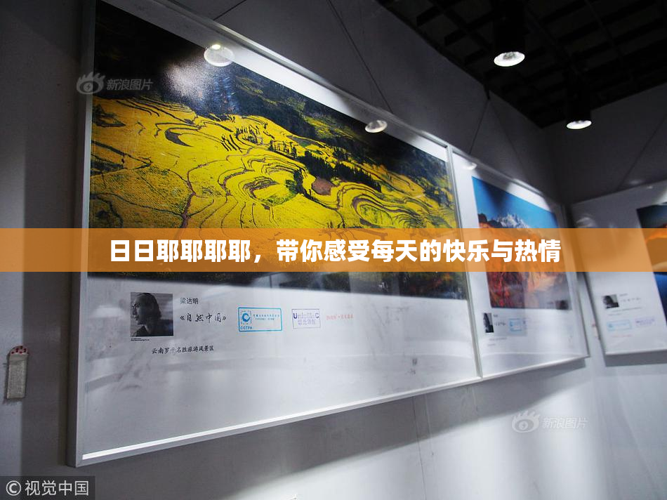 日日耶耶耶耶，带你感受每天的快乐与热情