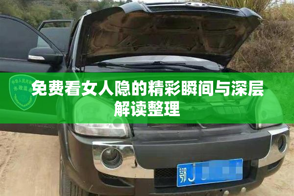 免费看女人隐的精彩瞬间与深层解读整理