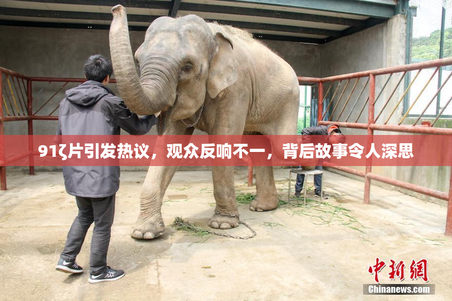 91ζ片引发热议，观众反响不一，背后故事令人深思