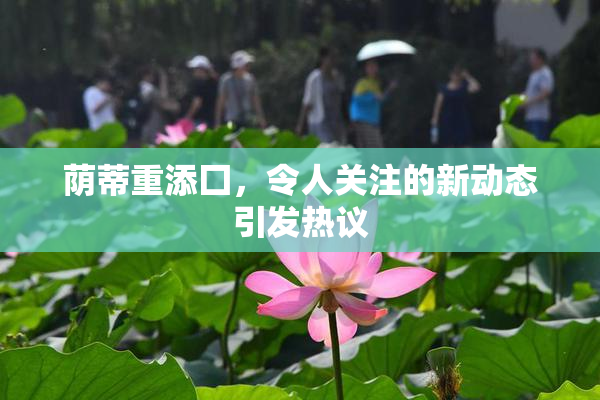 荫蒂重添囗，令人关注的新动态引发热议
