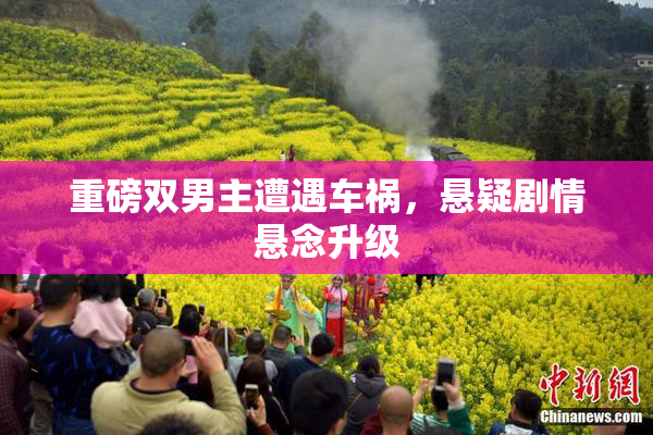 重磅双男主遭遇车祸，悬疑剧情悬念升级