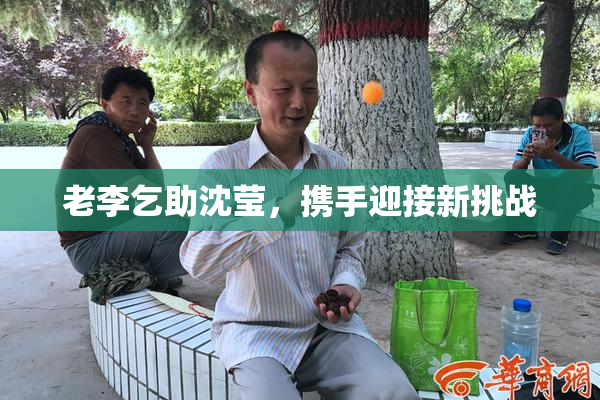 老李乞助沈莹，携手迎接新挑战
