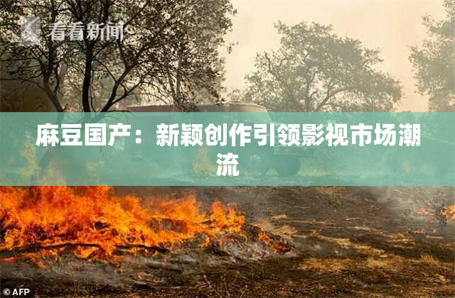 麻豆国产：新颖创作引领影视市场潮流