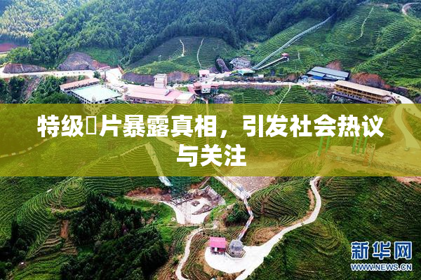 特级婬片暴露真相，引发社会热议与关注