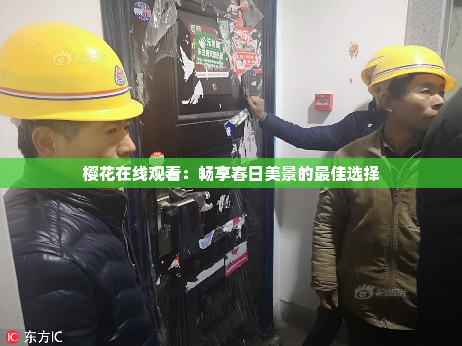 樱花在线观看：畅享春日美景的最佳选择