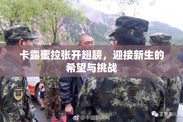 卡露蜜拉张开翅膀，迎接新生的希望与挑战
