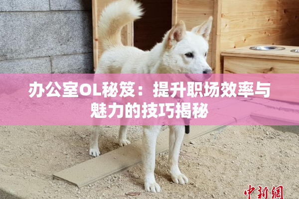 办公室OL秘笈：提升职场效率与魅力的技巧揭秘