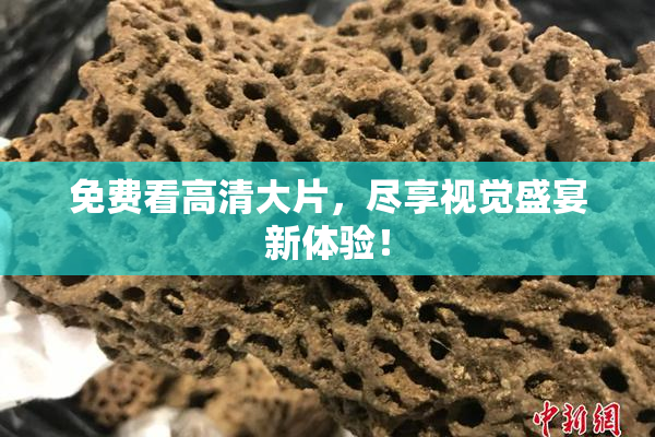 免费看高清大片，尽享视觉盛宴新体验！