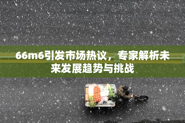 66m6引发市场热议，专家解析未来发展趋势与挑战