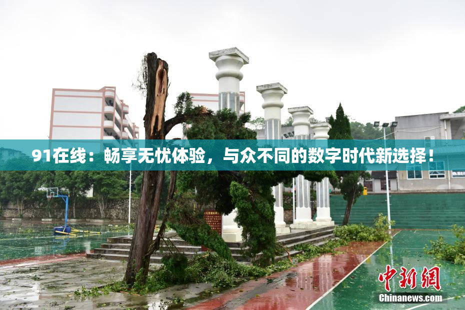 91在线：畅享无忧体验，与众不同的数字时代新选择！