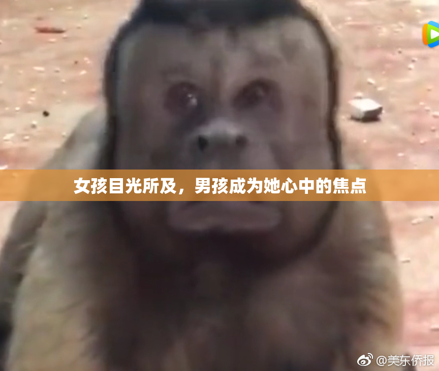 女孩目光所及，男孩成为她心中的焦点