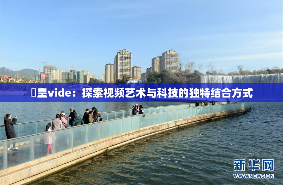 嘼皇vide：探索视频艺术与科技的独特结合方式