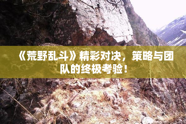 《荒野乱斗》精彩对决，策略与团队的终极考验！