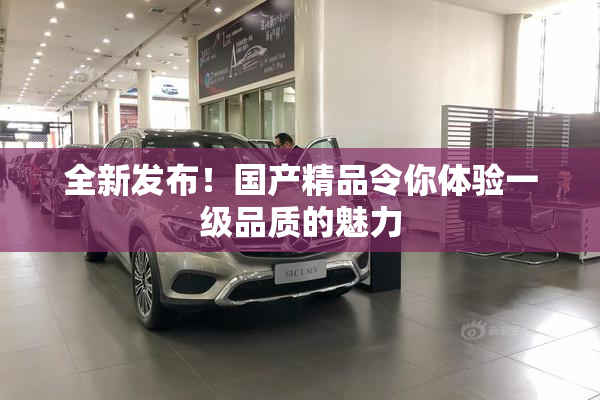 全新发布！国产精品令你体验一级品质的魅力