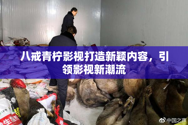 八戒青柠影视打造新颖内容，引领影视新潮流