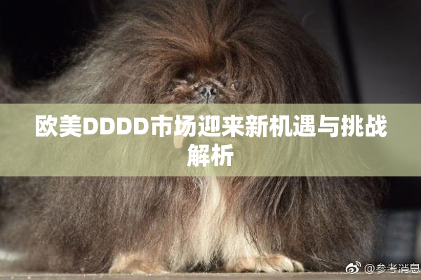 欧美DDDD市场迎来新机遇与挑战解析
