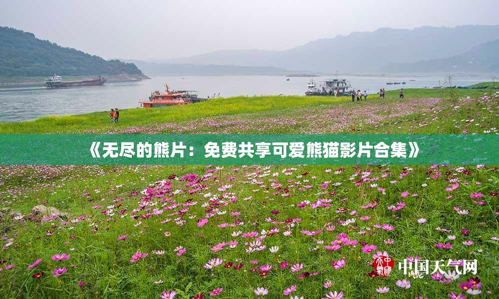《无尽的熊片：免费共享可爱熊猫影片合集》
