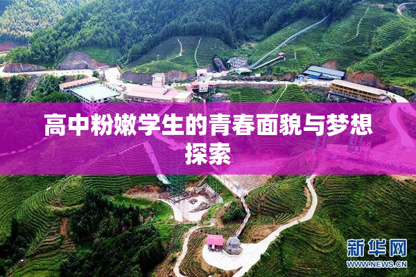 高中粉嫩学生的青春面貌与梦想探索