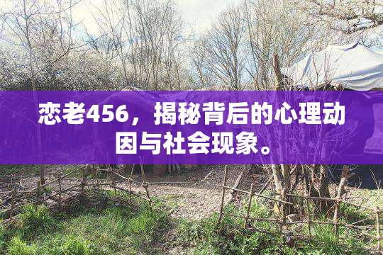 恋老456，揭秘背后的心理动因与社会现象。