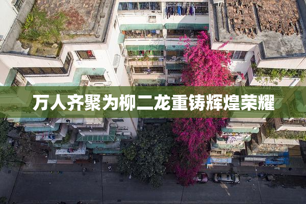 万人齐聚为柳二龙重铸辉煌荣耀