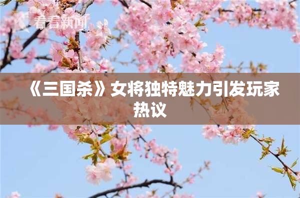 《三国杀》女将独特魅力引发玩家热议