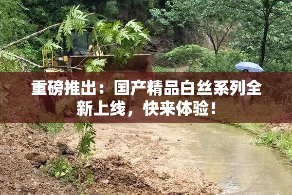 重磅推出：国产精品白丝系列全新上线，快来体验！