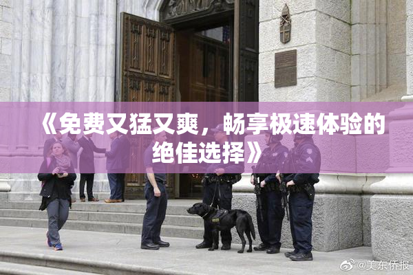 《免费又猛又爽，畅享极速体验的绝佳选择》