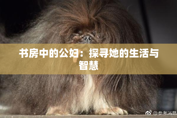 书房中的公妇：探寻她的生活与智慧