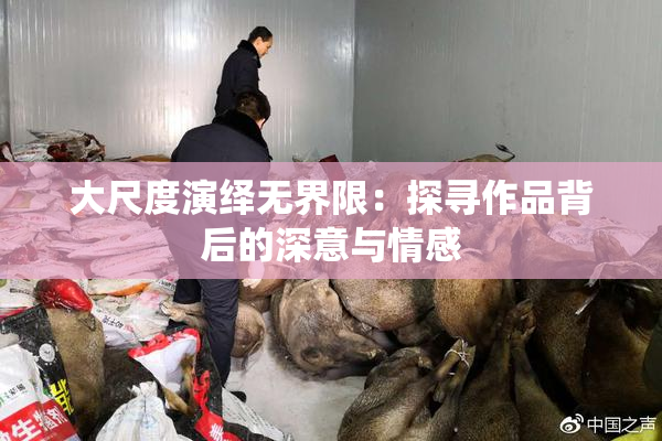 大尺度演绎无界限：探寻作品背后的深意与情感