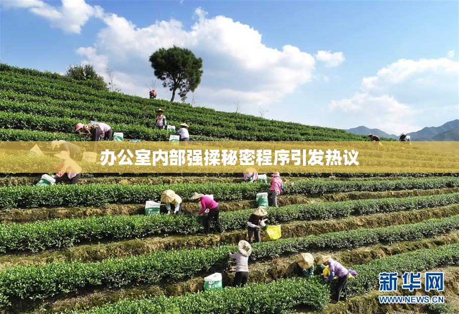 办公室内部强揉秘密程序引发热议