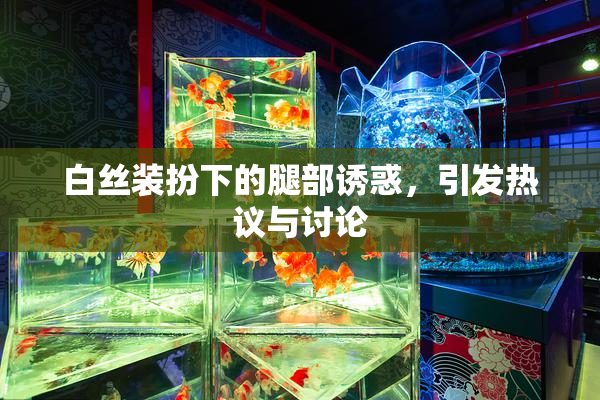 白丝装扮下的腿部诱惑，引发热议与讨论