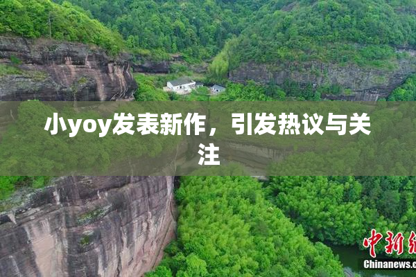 小yoy发表新作，引发热议与关注