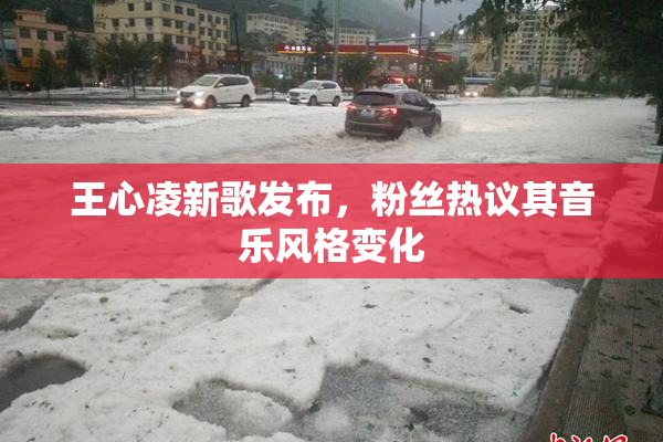 王心凌新歌发布，粉丝热议其音乐风格变化