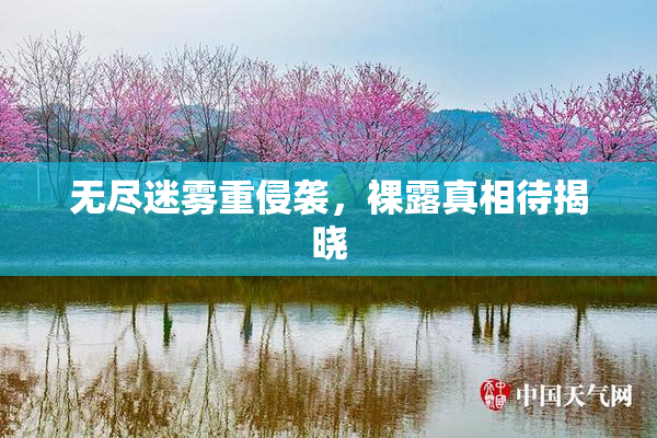 无尽迷雾重侵袭，裸露真相待揭晓