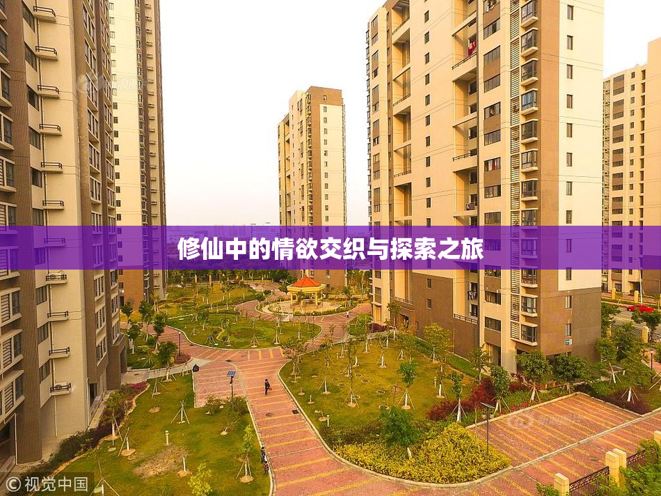 修仙中的情欲交织与探索之旅