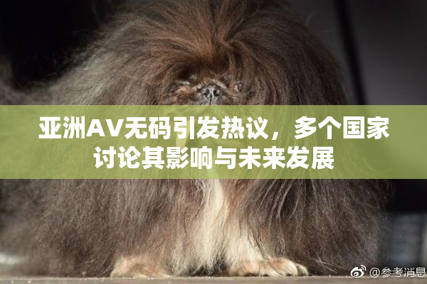 亚洲AV无码引发热议，多个国家讨论其影响与未来发展