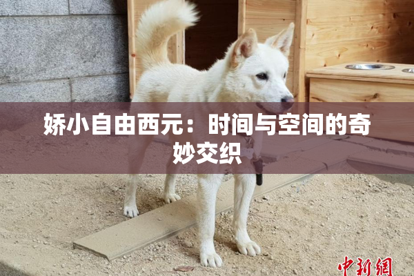 娇小自由西元：时间与空间的奇妙交织