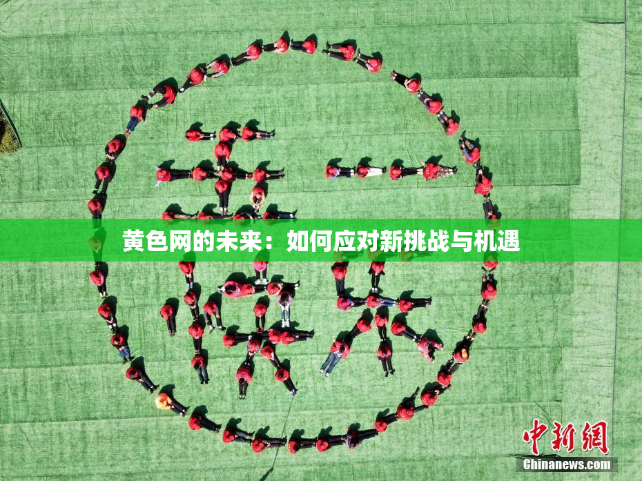 黄色网的未来：如何应对新挑战与机遇