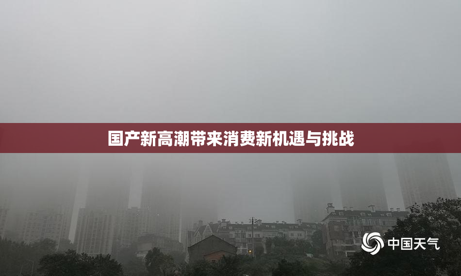 国产新高潮带来消费新机遇与挑战