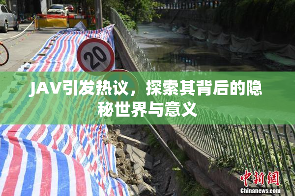 JAV引发热议，探索其背后的隐秘世界与意义