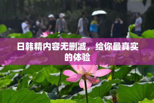 日韩精内容无删减，给你最真实的体验