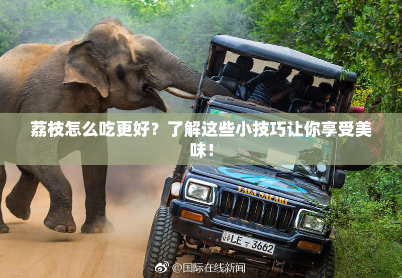 荔枝怎么吃更好？了解这些小技巧让你享受美味！