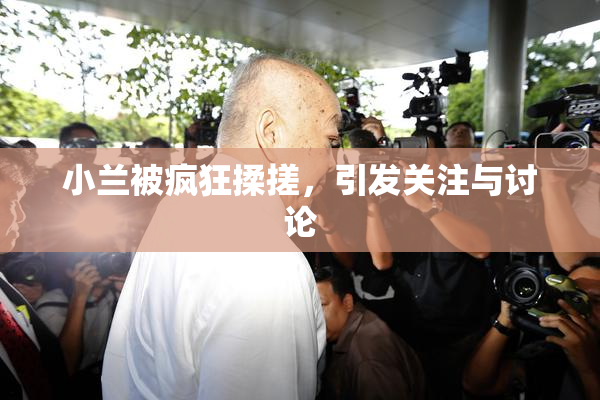 小兰被疯狂揉搓，引发关注与讨论