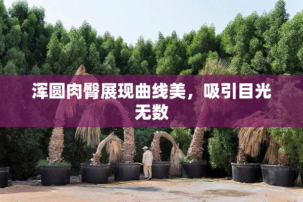 浑圆肉臀展现曲线美，吸引目光无数