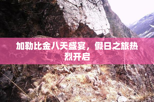 加勒比金八天盛宴，假日之旅热烈开启